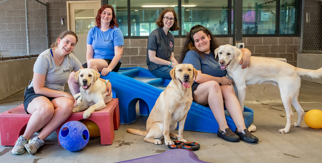 A group of people and dogs pose on colorful play structures in a kennel.
