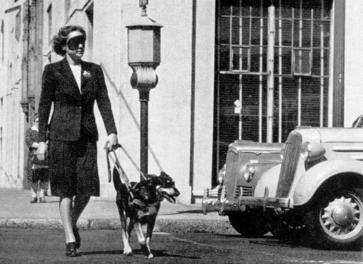 Guide Dogs for the Blind's Co-Founder Lois Merrihew walking with a guide dog while under blindfold, circa 1942.