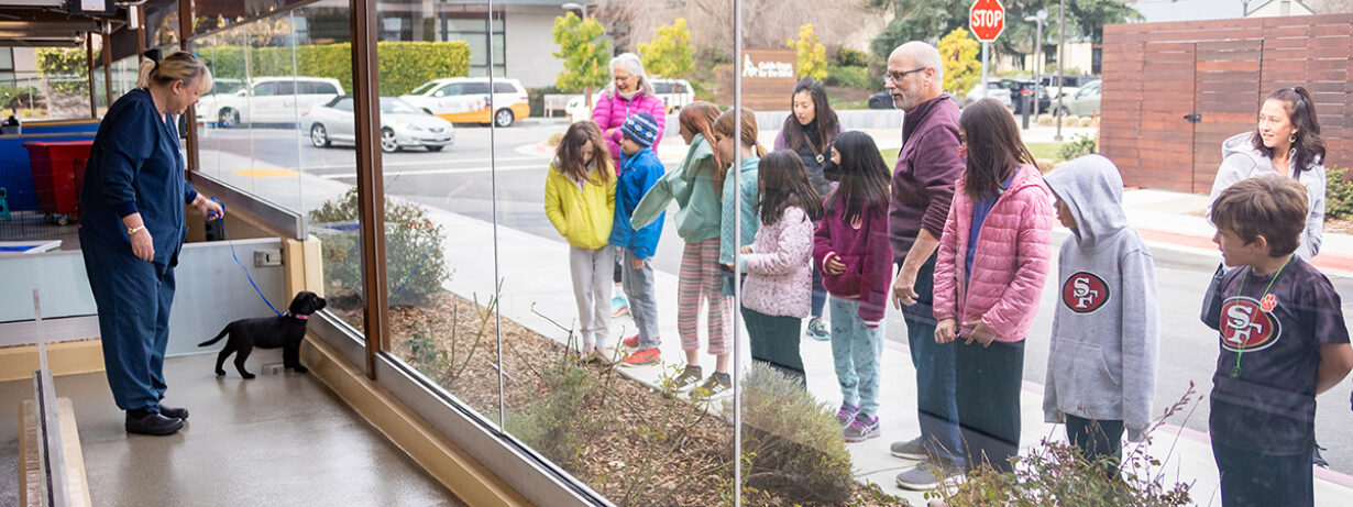 A tour group observes a volunteer and puppy in Guide Dogs for the Blind's Puppy Center.