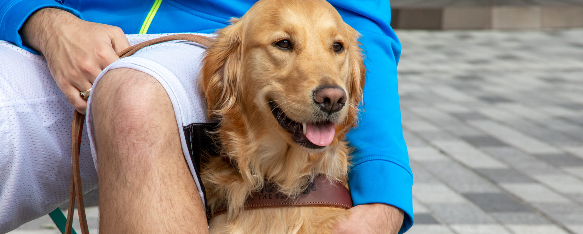 A smiling Golden Retriever guide dog sits next to a person.