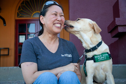 A volunteer puppy raiser gets a smooch from a yellow Lab puppy.