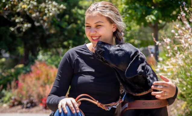 A smiling young woman kneels next to her guide dog who is giving her a kiss.