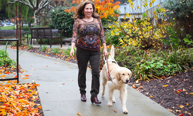 A woman walks with her Golden Retriever guide dog along a path with autumn leaves on the trees.