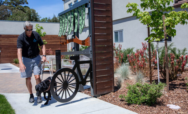 A guide dog mobility instructor works with a black Lab to go around an obstacle in their path.