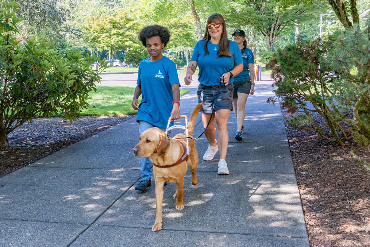 A teen girl walks with a yellow Lab guide dog with the guidance of two guide dog mobility instructors.
