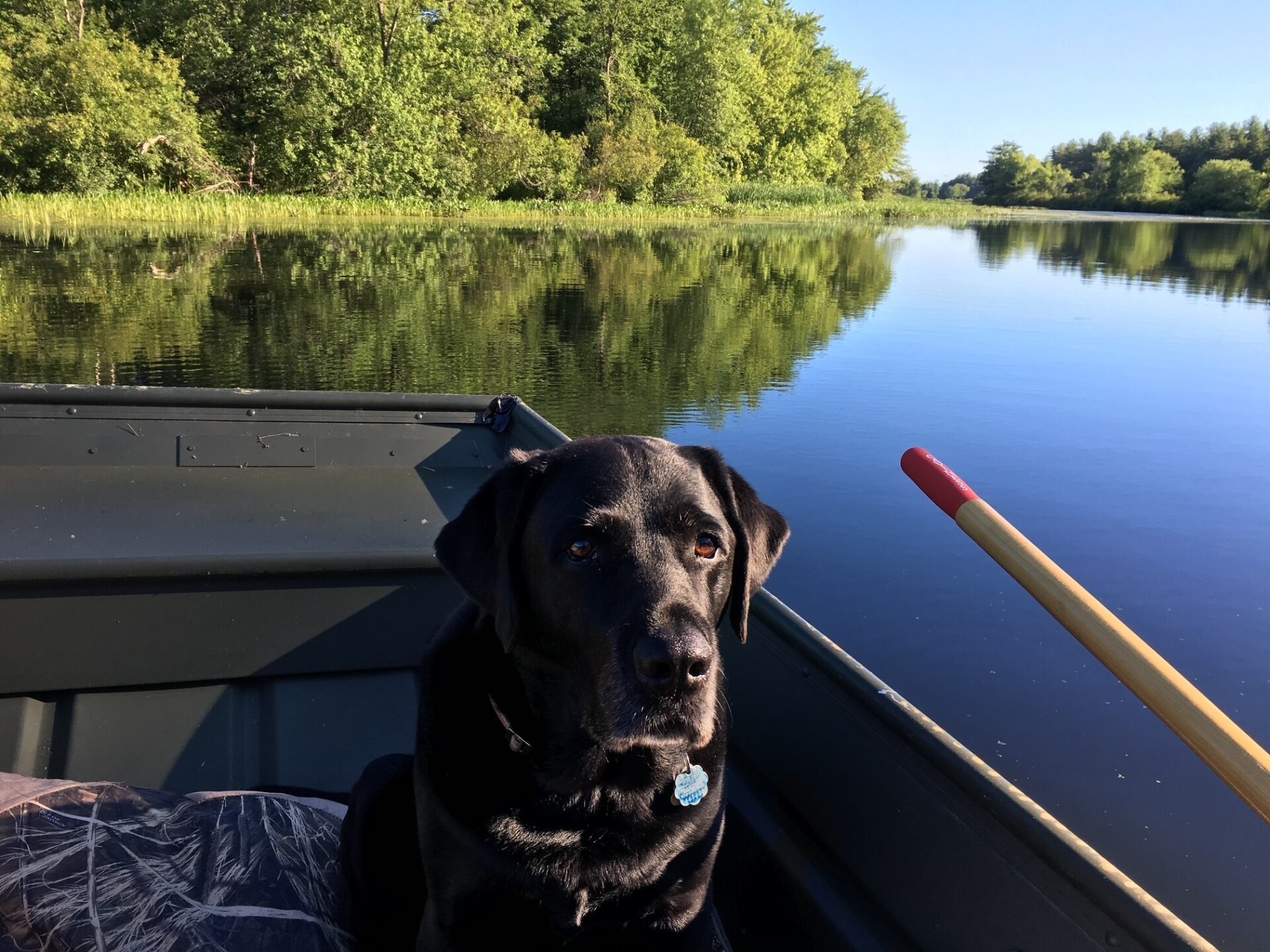 A black Lab sits in a boat on a lake.