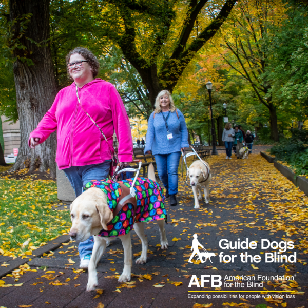 GDB grads walk through a wooded park on a fall day. The GDB logo and the American Foundation for the Blind logo appear on the bottom right corner of the image.