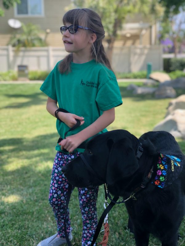 A young girl with a black Lab dog