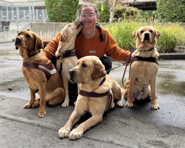 A woman kneels on the ground surrounded by four guide dogs.