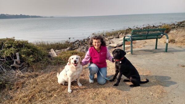 Mary-Ann kneels on a path by the Bay between a yellow Lab and a black Lab