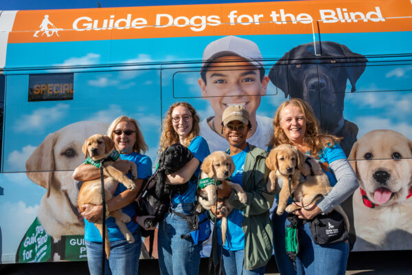 Four guide dog puppy raisers holding pups pose in front of a Seattle city bus that has been wrapped with GDB images.