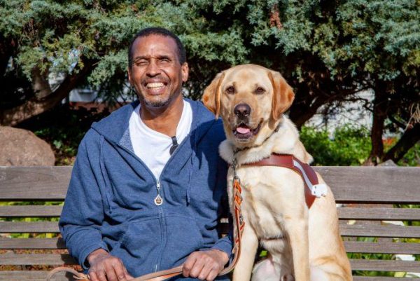 Willie sits on a bench with Niner, his  yellow Lab guidedog