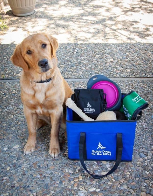 A Golden Lab cross sits beside a blue tote full of GDB merchandise.