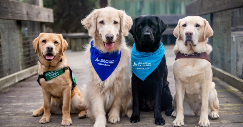 Pupdates-photo-for-blog-story.