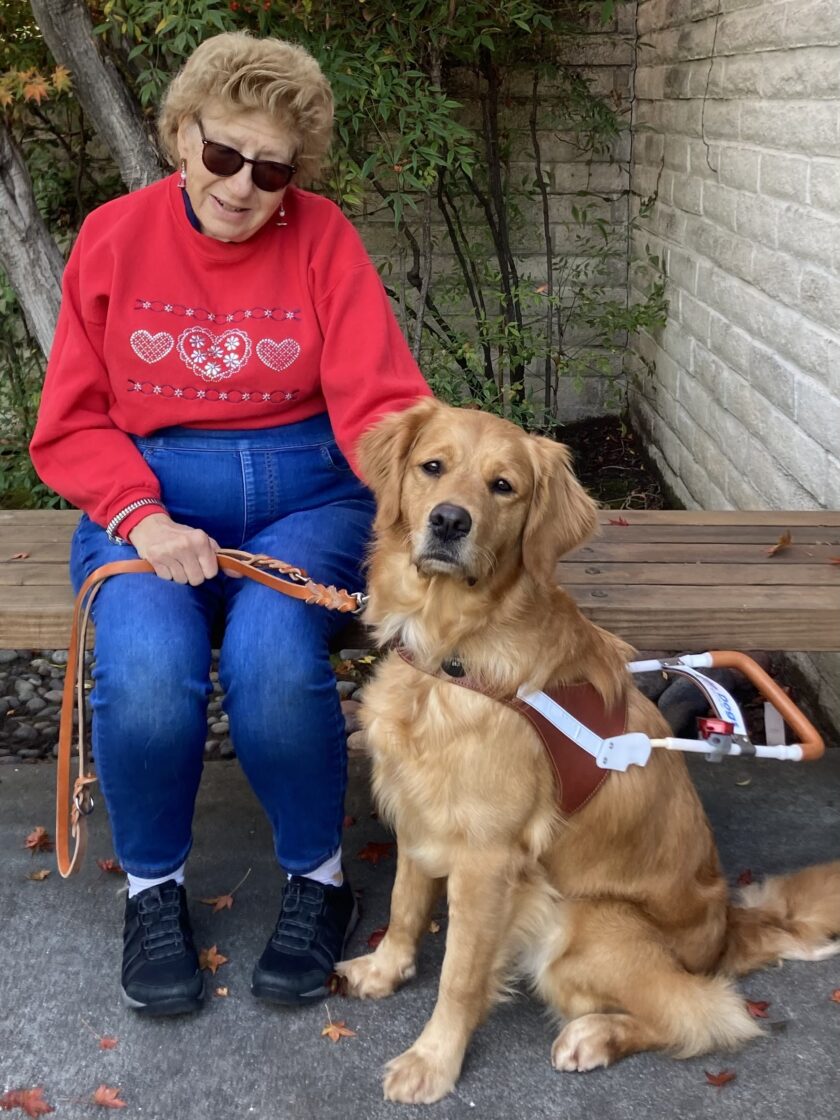 A woman sits on a bench with her Golden Retriever guide dog in harness by her side.