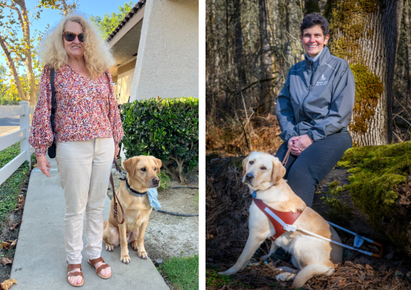 A composite photo of two women with dogs. One has a Golden Lab K9 Buddy and the other has a yellow Lab guide dog in harness.