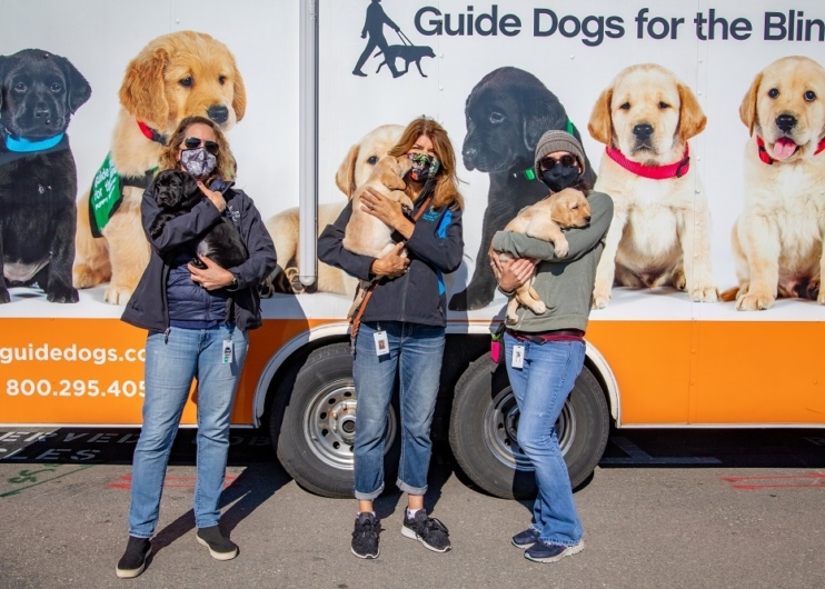 Employees hold dogs by puppy truck