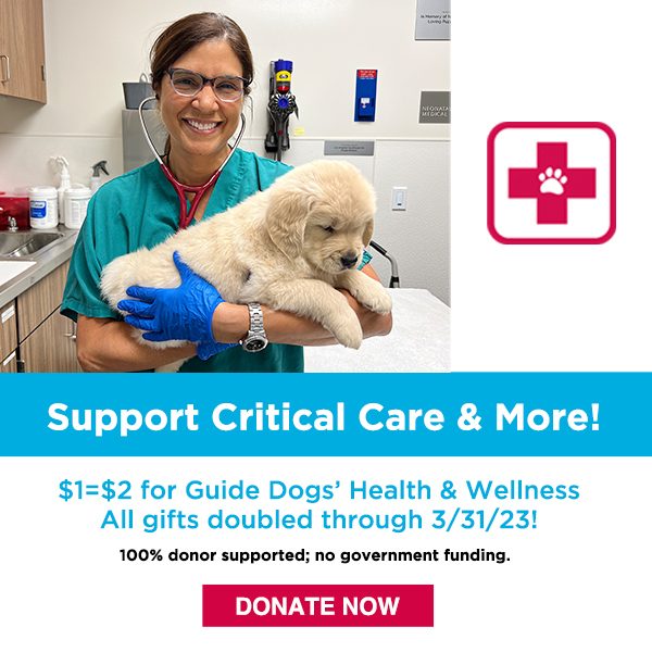 A smiling vet with a stethoscope around her neck holds a fluffy Golden retriever puppy at right is a red cross with a paw in the center. Text below the image reads "Support Critical Care & More" "$1 = $2 for Guide Dogs' Health & Wellness. All gifts doubled through 3/31/23"