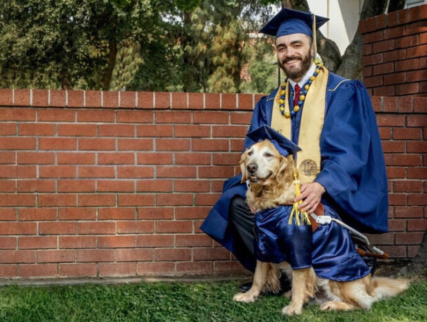 A man and his Golden Retriever guide dog both wearing blue caps and gowns at his college graduation.