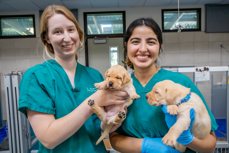 Two women hold very young puppies in their arms as they smile for the camera.