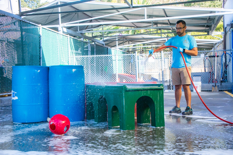A man hoses down and cleans colorful play structures in a dog kennel.