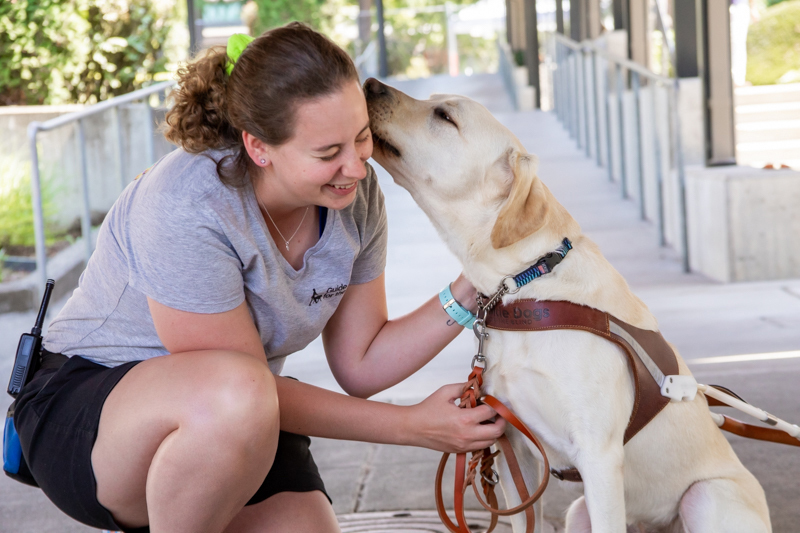 A woman gets a kiss from a yellow Lab guide dog in training.