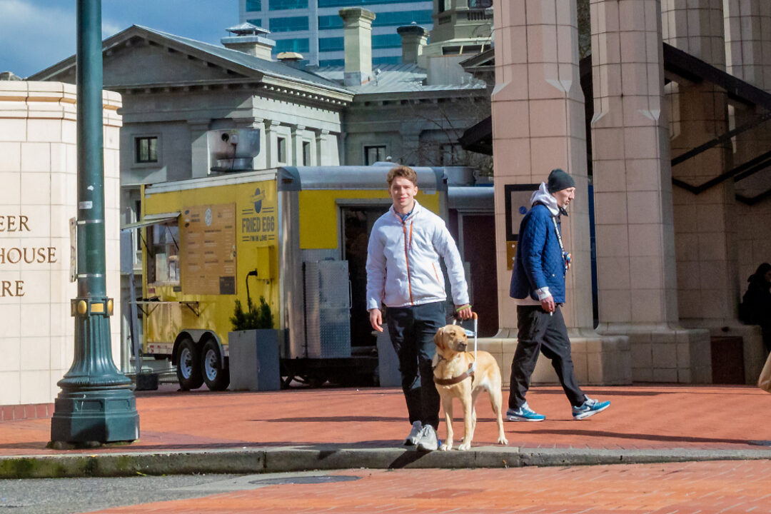 An instructor stands at a crosswalk with a yellow Lab guide dog.