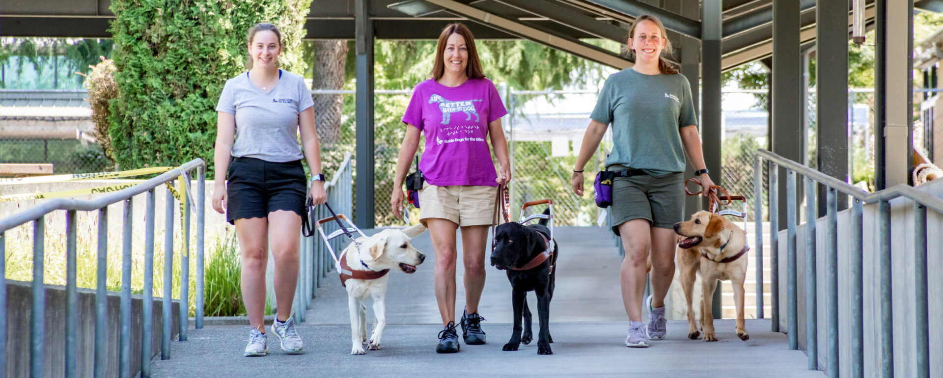 Three women walk with guide dogs down a wide path.