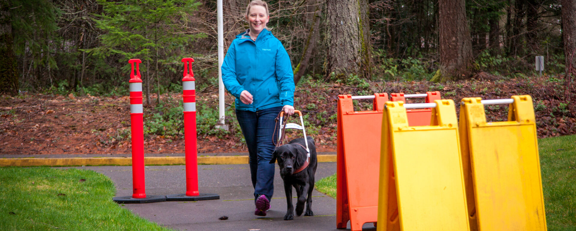 A guide dog mobility instructor with a guide dog in training working through a series of colorful obstacles on a sidewalk.
