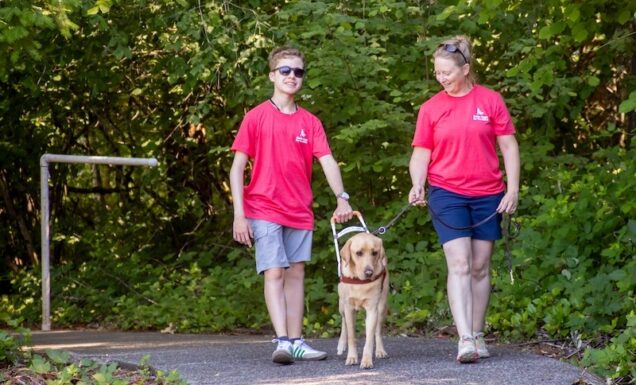 An instructor walks beside a teen and a yellow Lab guide dog during a guided walk at Camp GDB.