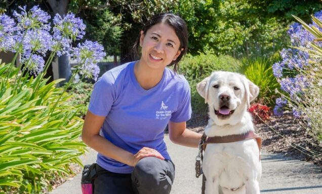 A women kneels beside a yellow Lab guide dog in training.