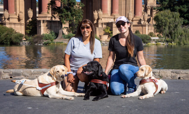 Two instructors are seated together with three guide dogs in training laying in front of them.