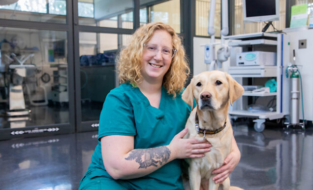 A vet tech in scrubs seated beside a yellow Lab in a GDB clinic