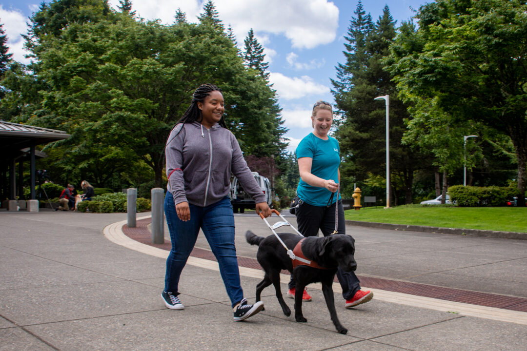 Guide Dog Experience Day  Guide Dogs for the Blind