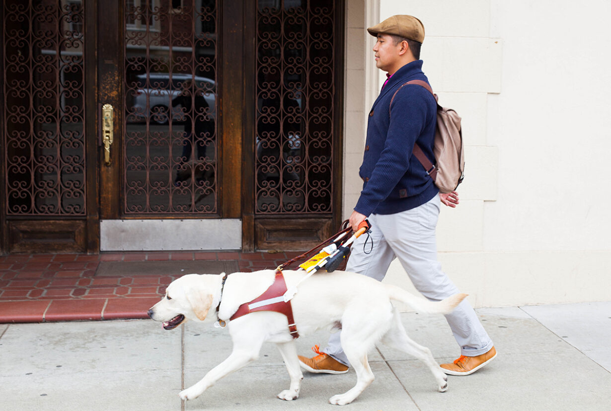 A young man dressed for work walks with his yellow Lab guide dog.