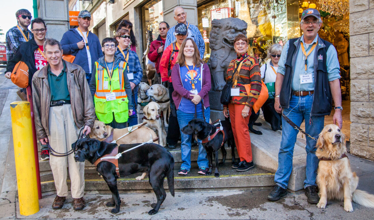 A group of people and guide dogs.
