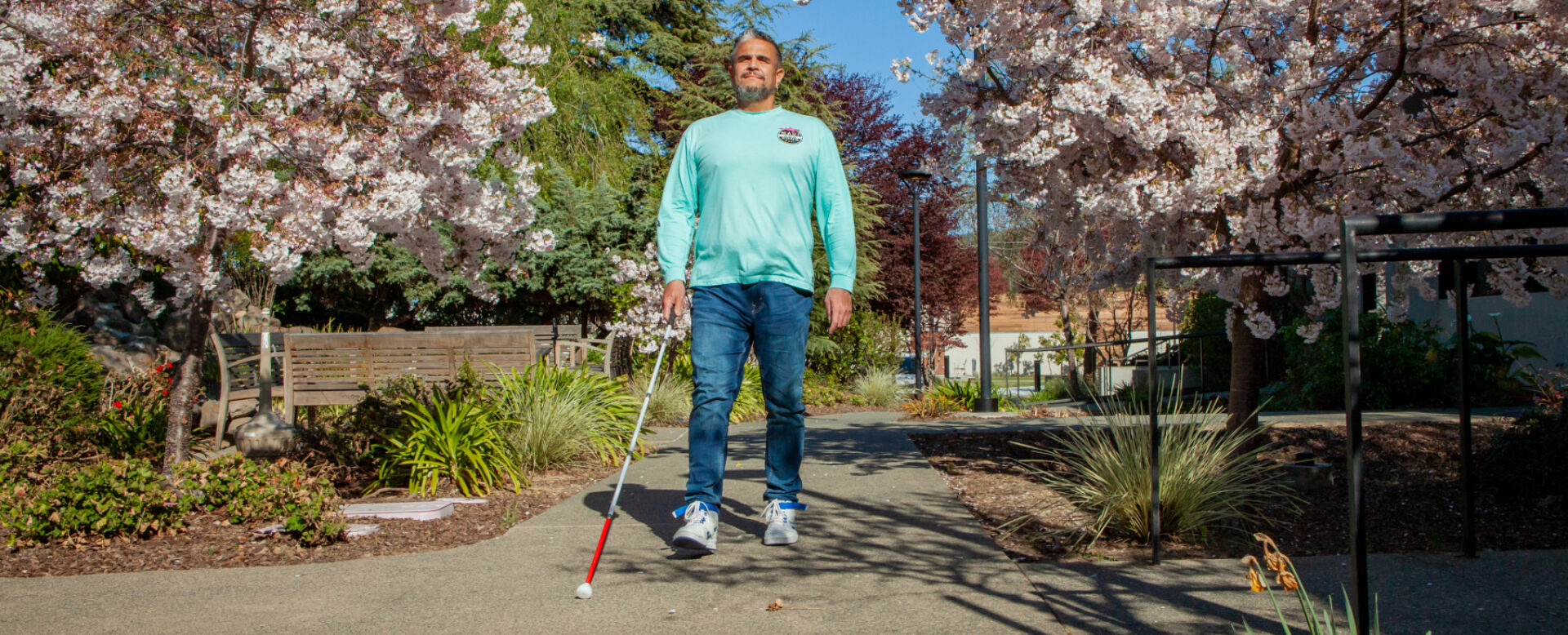 A man walks down a sidewalk full of blooming trees using a white cane.