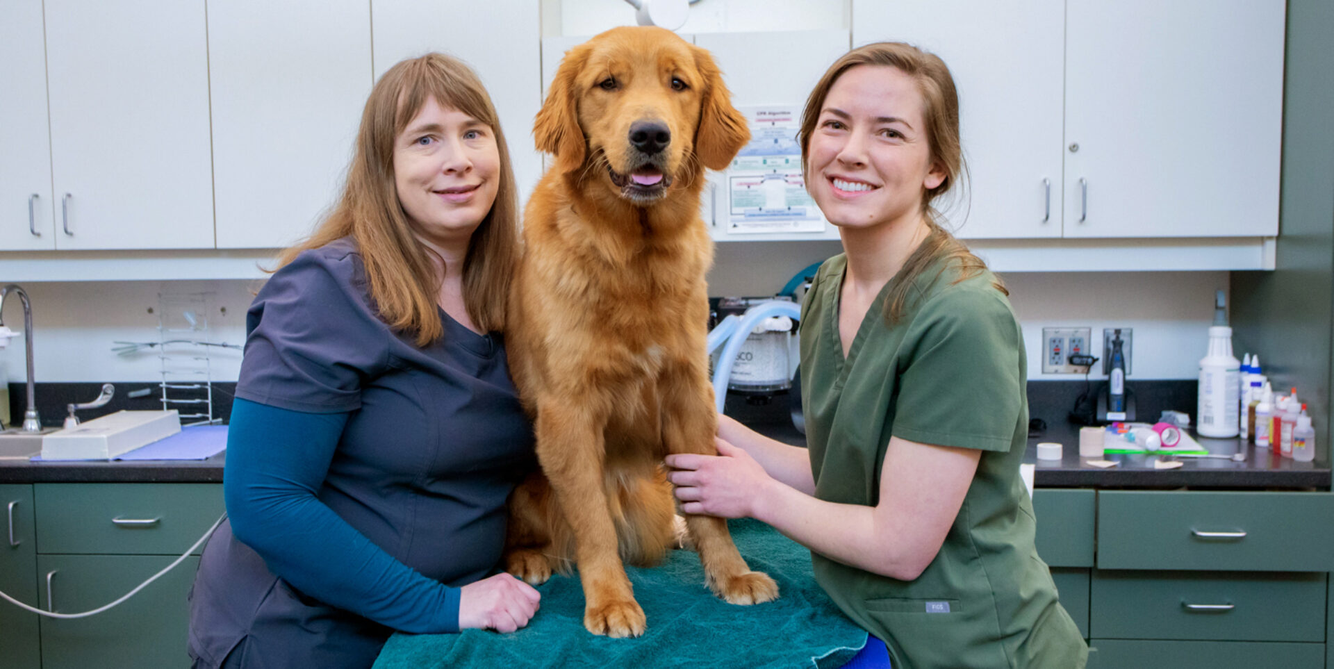 Two GDB veterinary staff members pose for a photo with a smiling Golden Retriever in a vet clinic.