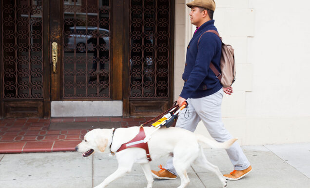 A young man dressed for work walks with his yellow Lab guide dog.