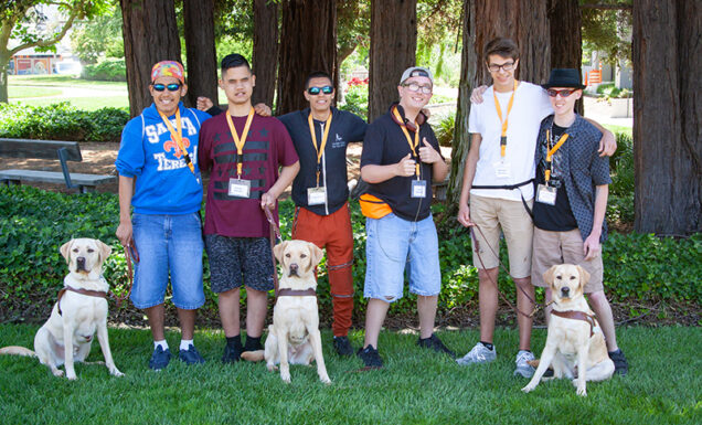 A group photo with people and guide dogs.