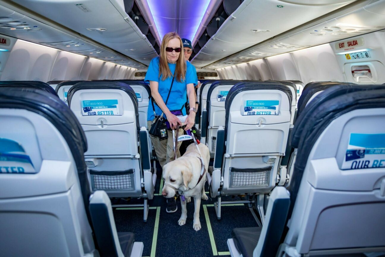 A woman walks down the aisle on a commercial airplane with her guide dog.