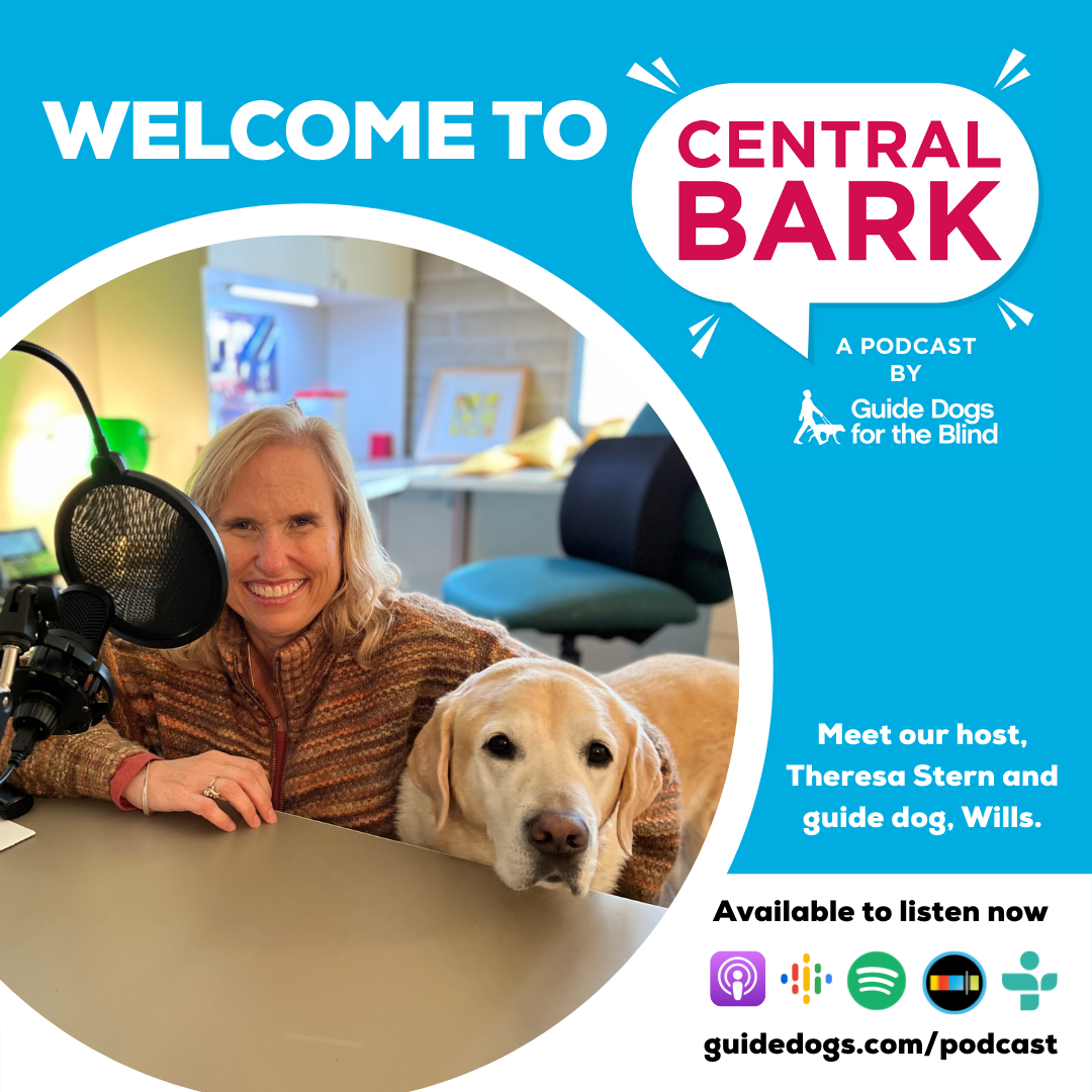 Welcome to Central Bark!