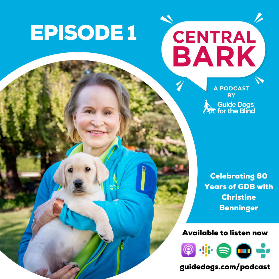 Central Bark Episode 1