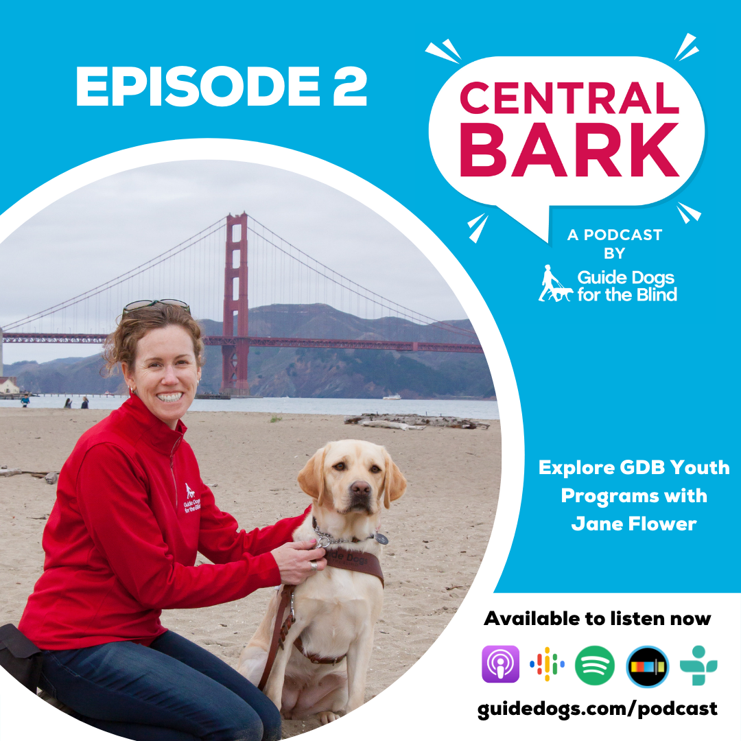 Central Bark Episode 2