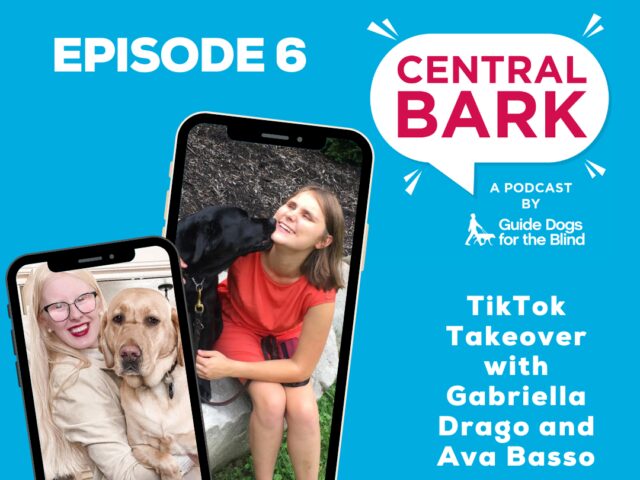 Promotional image of Central Bark episode 6 featuring two side by side images of Ava Basso and her yellow Lab guide dog and Gabriella Drago and her black Lab guide dog. The images appear to be on a cell phone. Text on the image reads "TikTok Takeover with Gabriella Drago and Ava Basso"