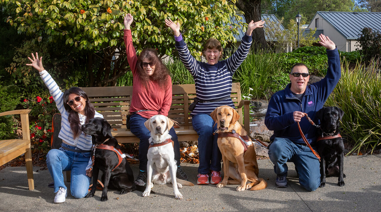 Four people and their guide dogs in a garden setting; the people have their arms raised in celebration.