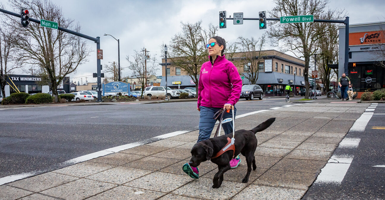 A guide dog mobility instructor walking with a guide dog in a crosswalk of a city street.