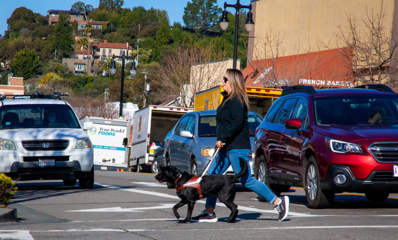 A guide dog mobility instructor and a guide dog walk crossing a city street with cars in the background.