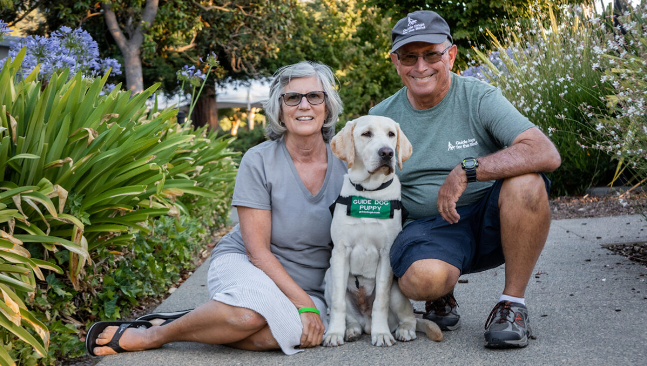 An adult couple with a yellow Lab guide dog puppy.