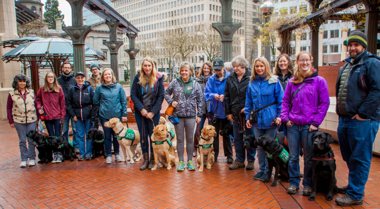 A group of people and dogs in a city plaza on a rainy day.